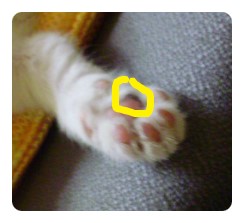 나나로프 이미지