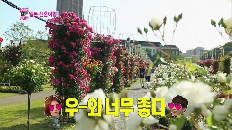 보는하우스 이미지