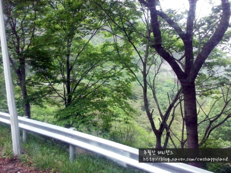 추월산이보이는집 이미지