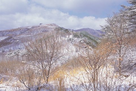 황토민박 사진 4