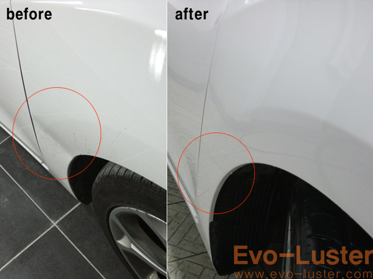Evo-Luster 이미지