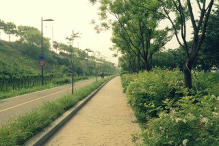 프로젝트송송 이미지