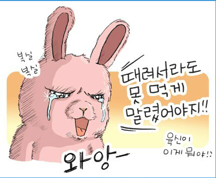 어쩔꺼야 이미지