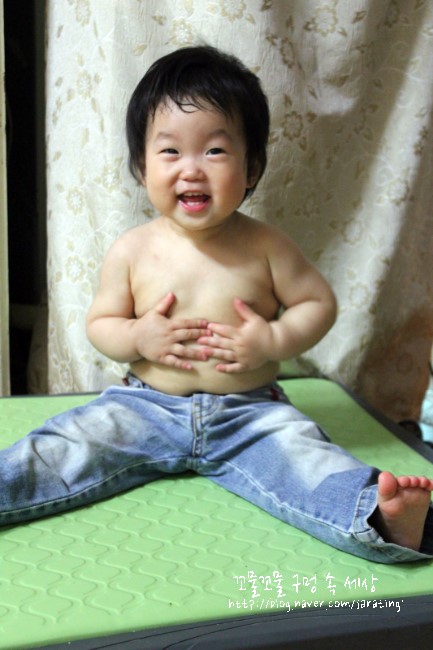 뚱이양이 이미지