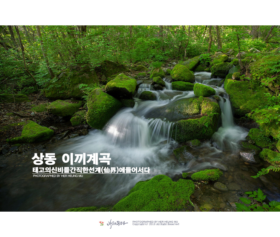 상동 장산 야영장 이미지