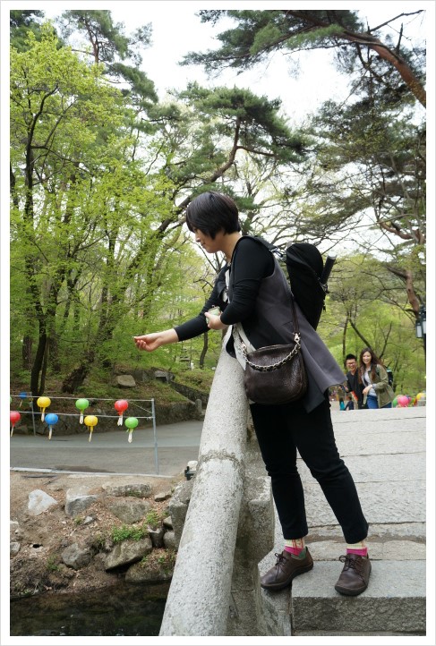 진칼라 이미지