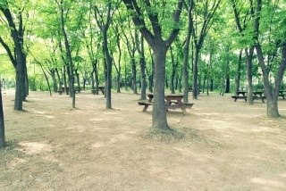 프로젝트송송 이미지