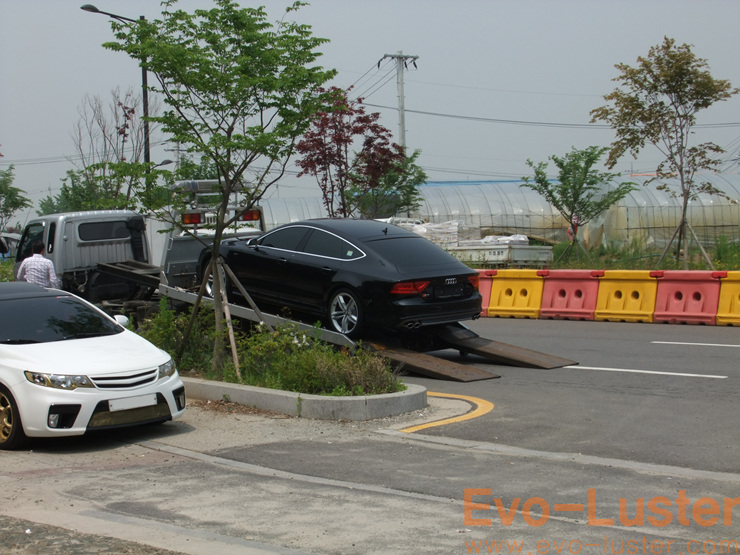 Evo-Luster 이미지