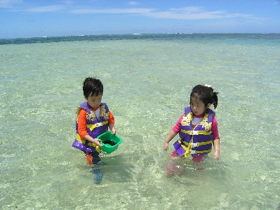 비키니 아일랜드(BIKINI ISLAND) 이미지