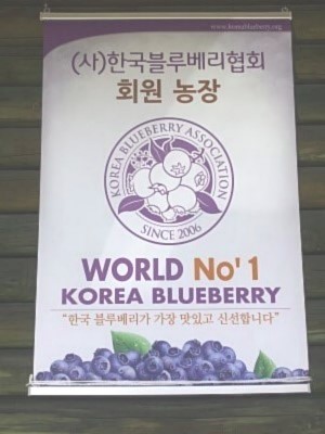 샘골농원 이미지