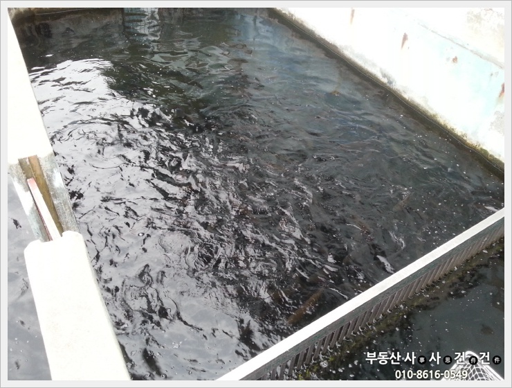 금산송어장 이미지