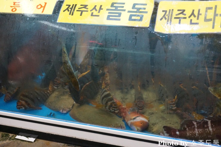 힐링트레블2 이미지