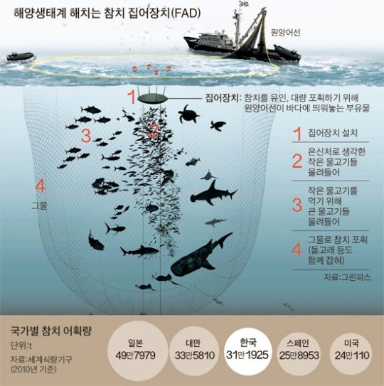 해양참치 이미지