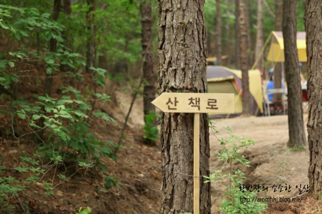 또바기캠핑장 이미지