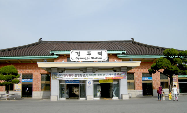 로뎀트리로뎀나무 이미지
