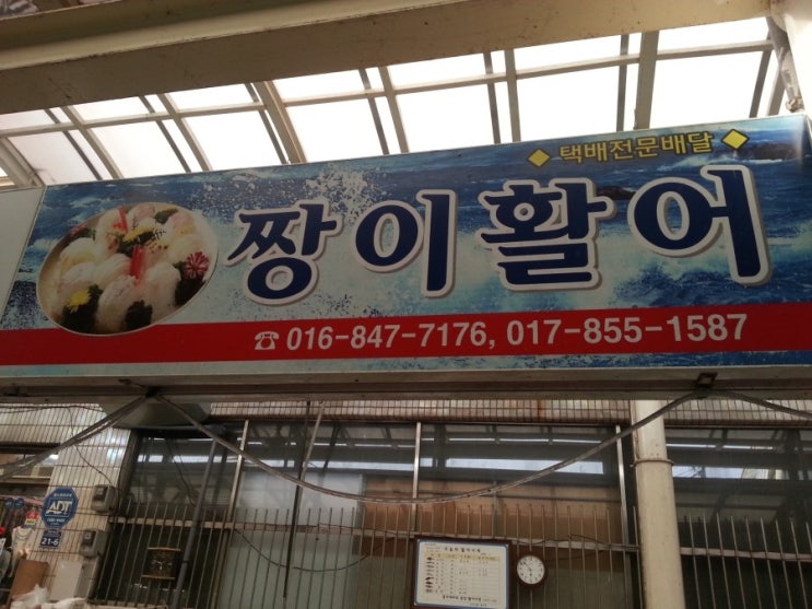 짱활어 이미지