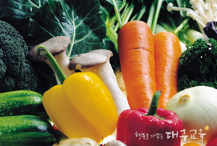 우리야식 이미지