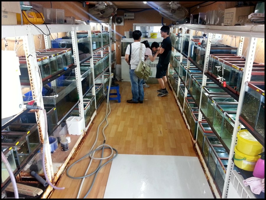 (주)네오엔비즈 이미지