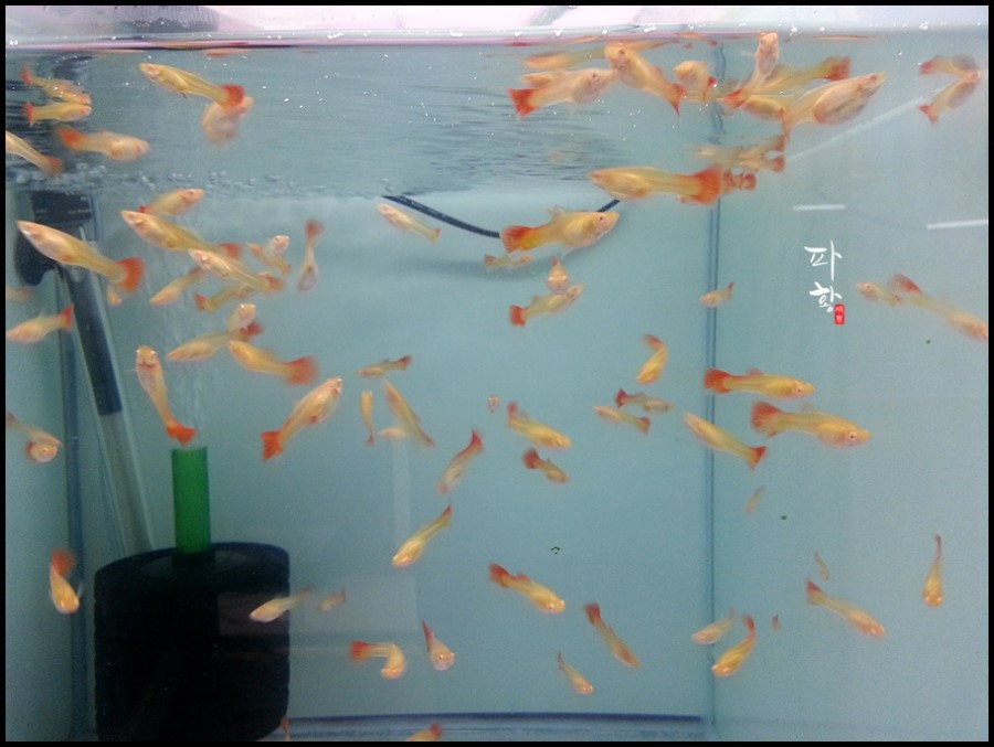 (주)네오엔비즈 이미지