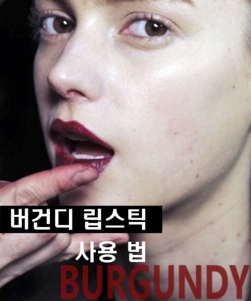 차홍아르더청담점 이미지
