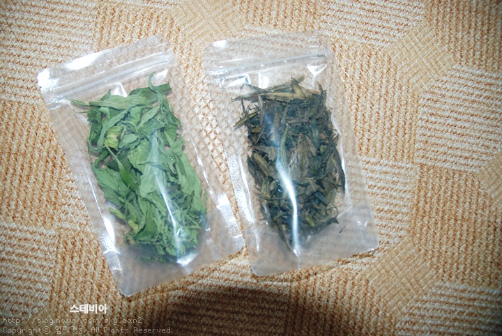 다그루 이미지
