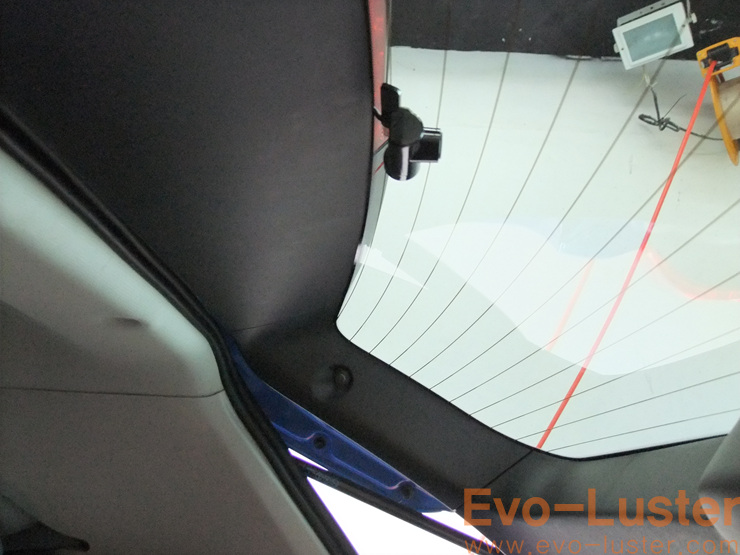Evo-Luster 이미지