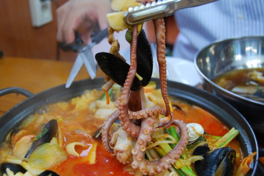 해품조개 이미지