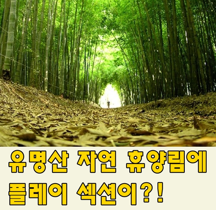 유씨오마케팅그룹(주) 이미지