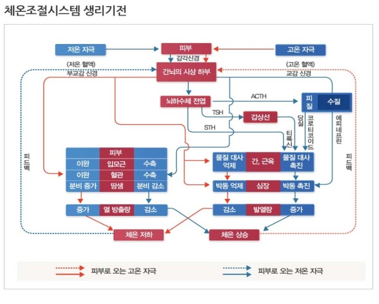 경희피레토한의원 이미지