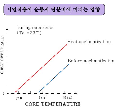 경희피레토한의원 이미지