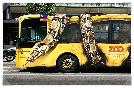 코끼리광고 이미지