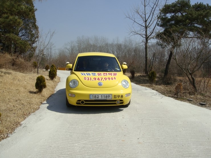 신촌자동차운전전문학원 이미지