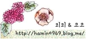 코지니 이미지