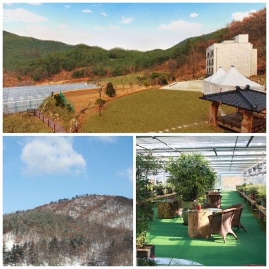 오남플라워가든 이미지