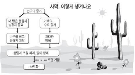 세계 사막화 방지의 날이란? 사막화원인,사막화피해,사막화 해결방안 : 네이버 블로그