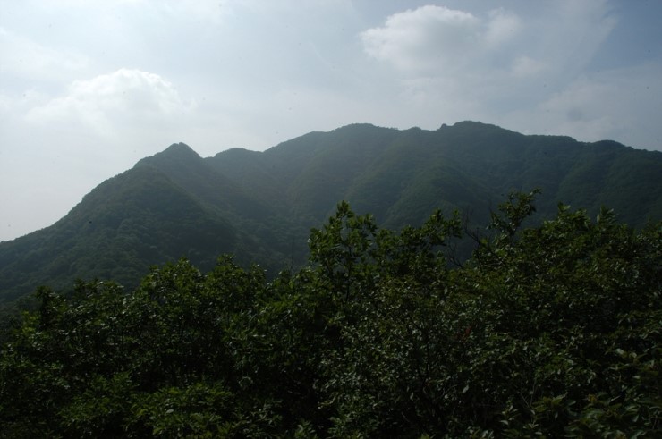 석화길인 이미지