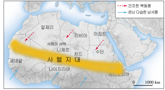 세계 사막화 방지의 날이란? 사막화원인,사막화피해,사막화 해결방안 : 네이버 블로그