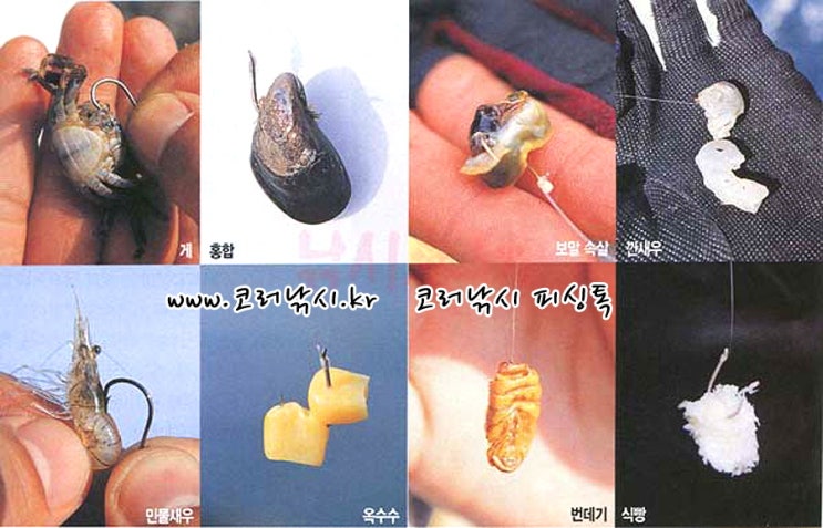 한방낚시 이미지