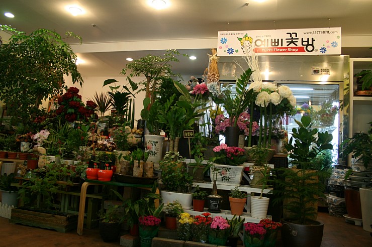 예삐꽃방 이미지