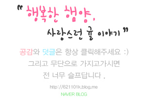 현대중동스닉솔 이미지