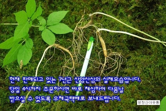 산야유통 이미지