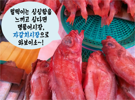 동북아식품협동조합 이미지
