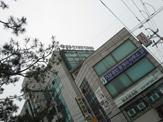 소나무인력개발 이미지