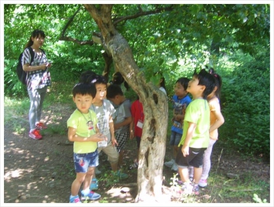 시흥삐아제어린이집 이미지