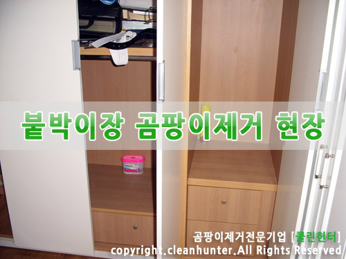 곰팡이헌터 이미지