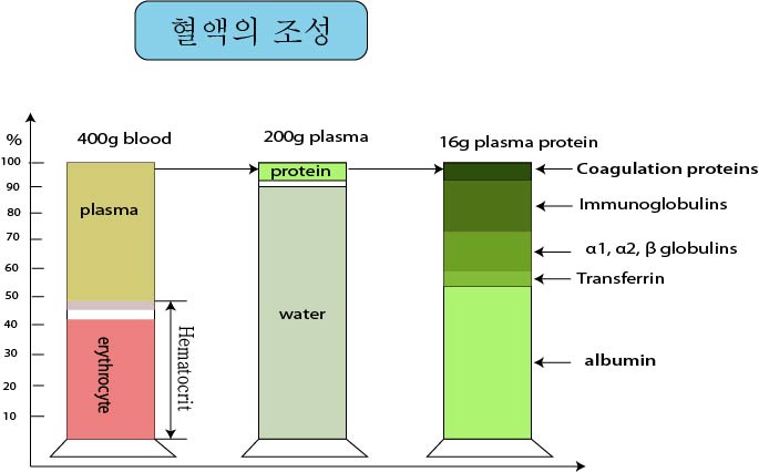 경희피레토한의원 이미지