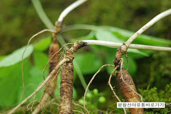 산야유통 이미지