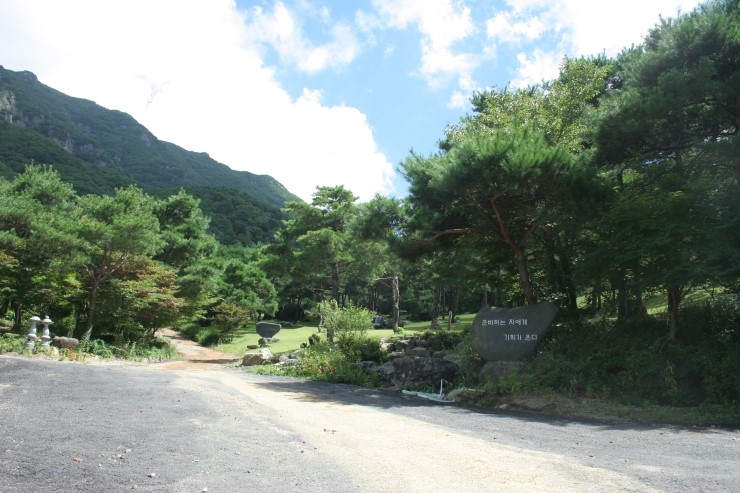 서대산약용자연휴양림 이미지