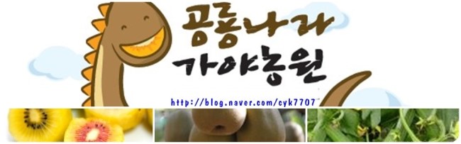 홍고추나라 이미지