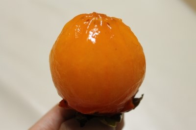 더샤벳아이스크림 이미지